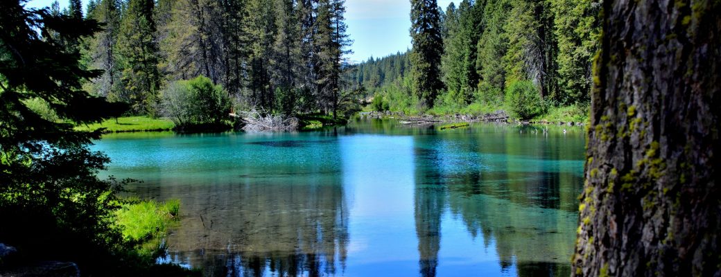 Wood River in Jackson Kimball State Park Oregon