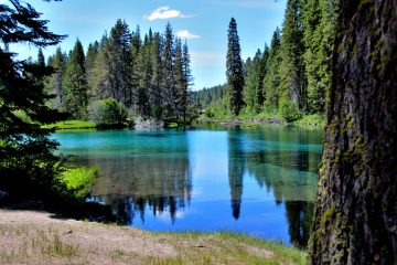 Wood River in Jackson Kimball State Park Oregon